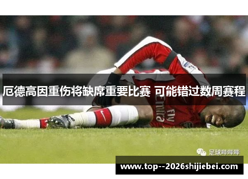 厄德高因重伤将缺席重要比赛 可能错过数周赛程 厄德高因重伤将缺席重要比赛 可能错过数周赛程