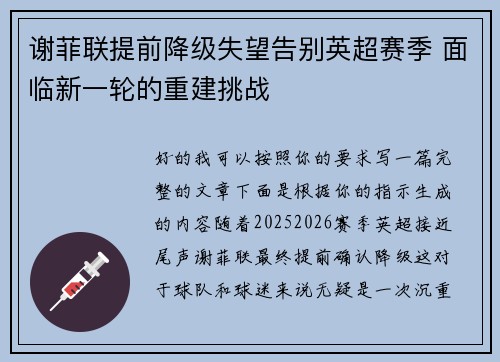 谢菲联提前降级失望告别英超赛季 面临新一轮的重建挑战